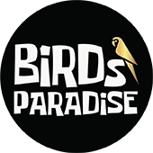 Birds Paradise