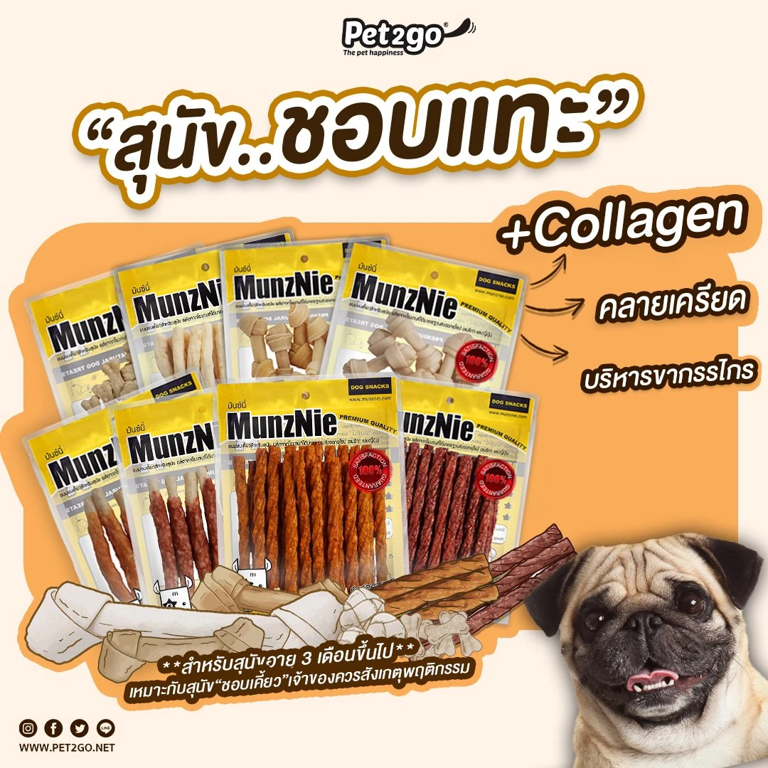 MunzNie Dog snacks, assorted types of bars