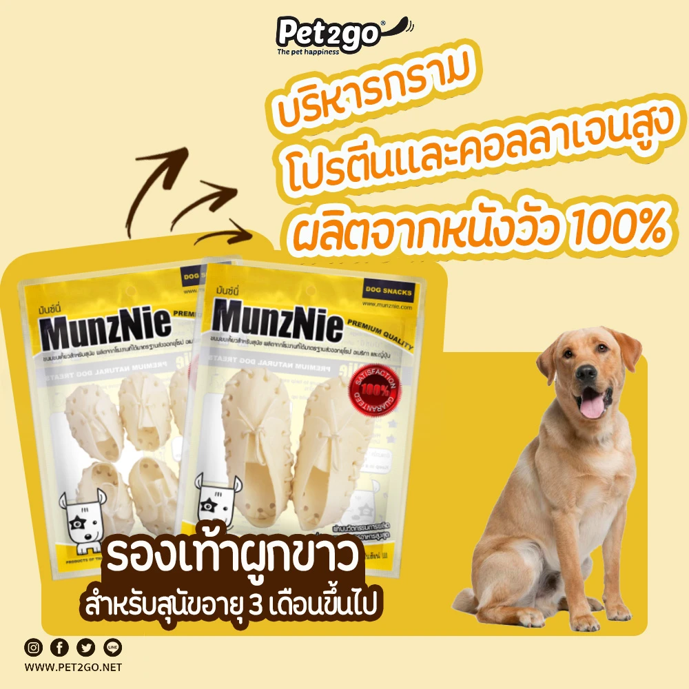 MunzNie Snack Dog Chewing Shoes