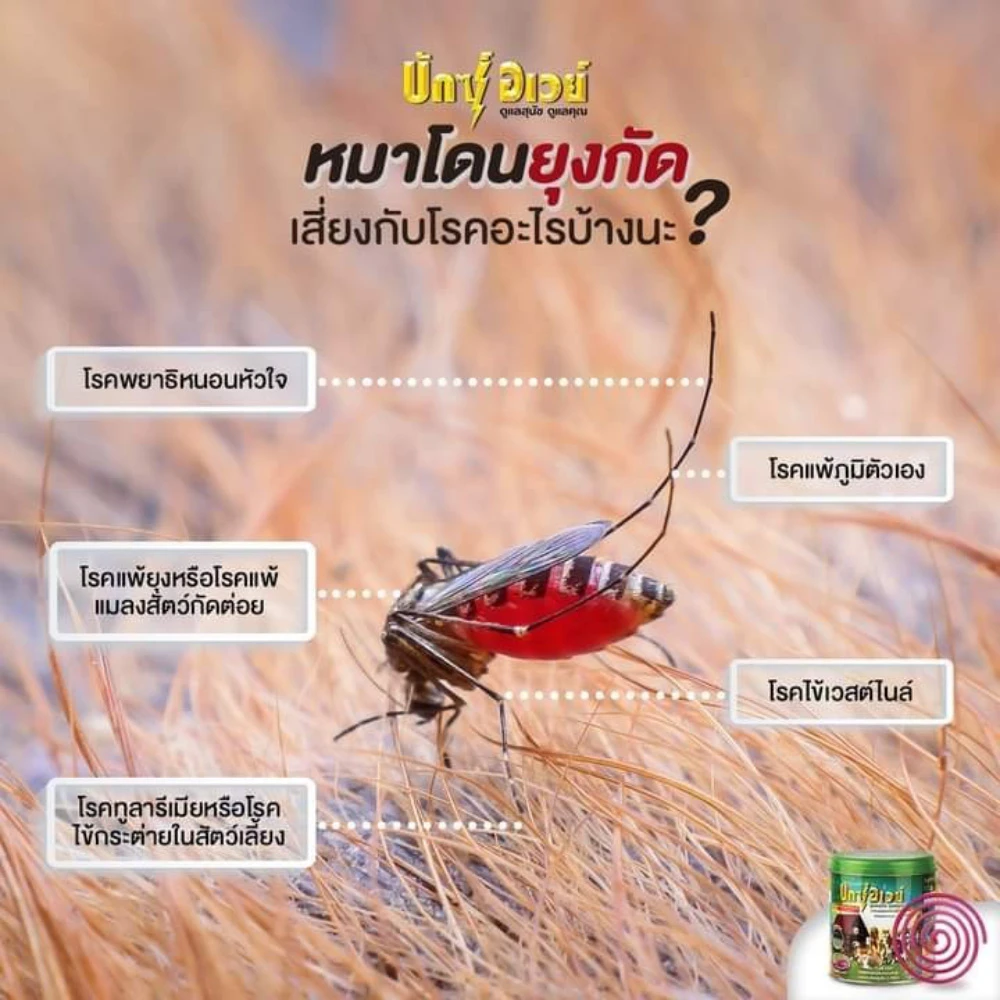 BuxAway ยาจุดกันยุง