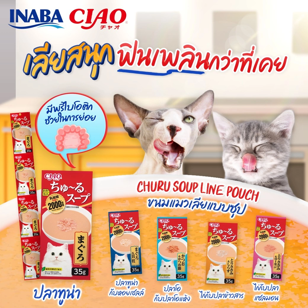 CIAO Chu Ru Lactic Soup (4X35g)