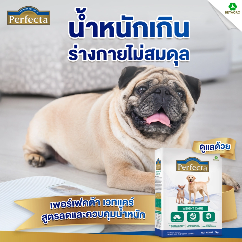Perfecta Weight Care อาหารเม็ดสำหรับสุนัขโตทุกสายพันธุ์