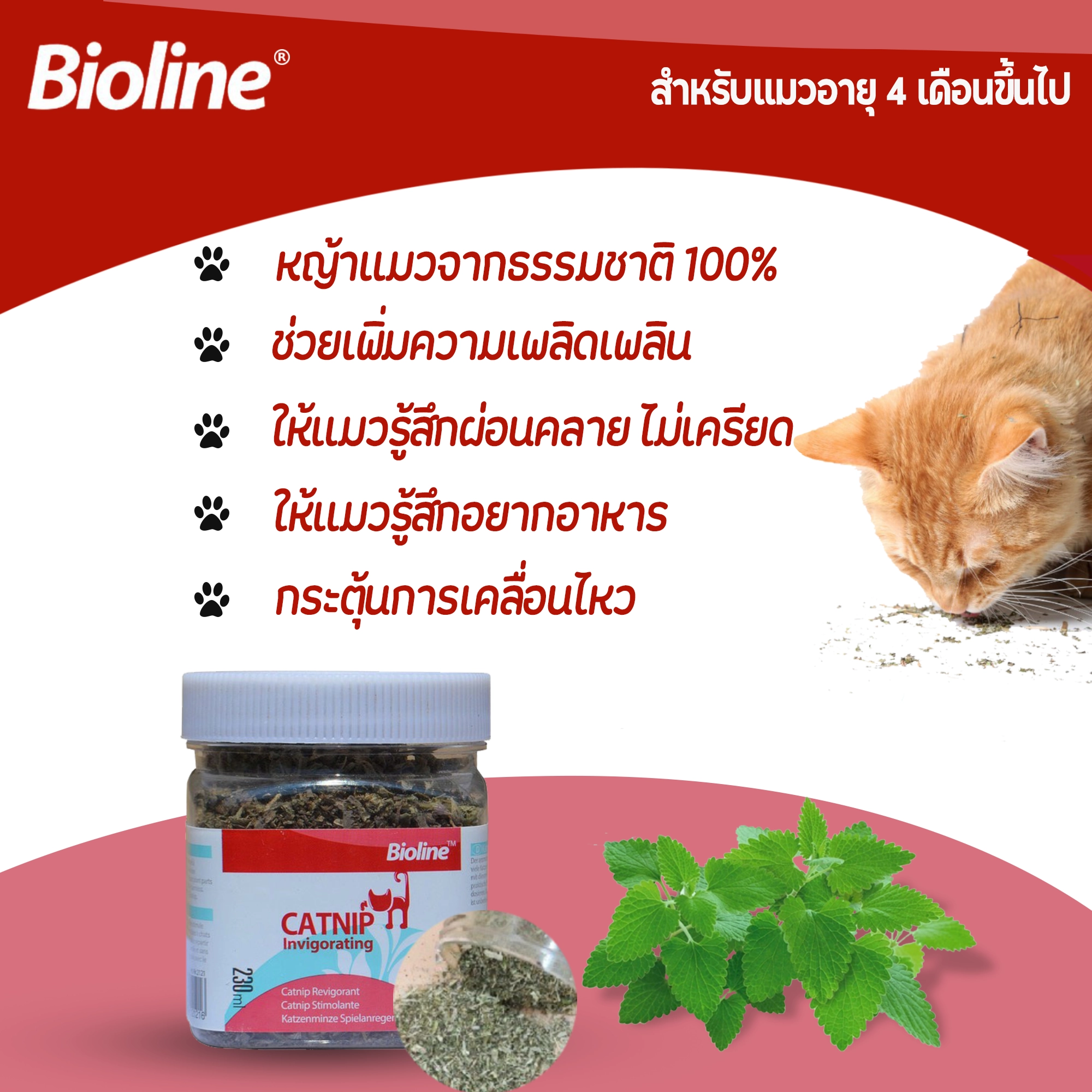 Bioline แคทนิปใบป่น