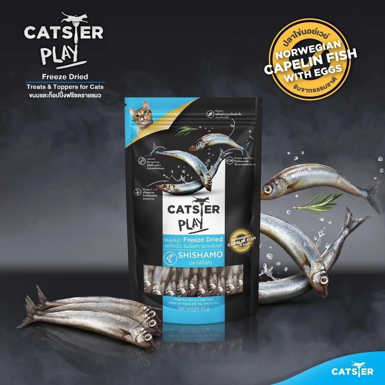 Catster Play Black Shishamo สูตรปลาไข่  40 กรัม