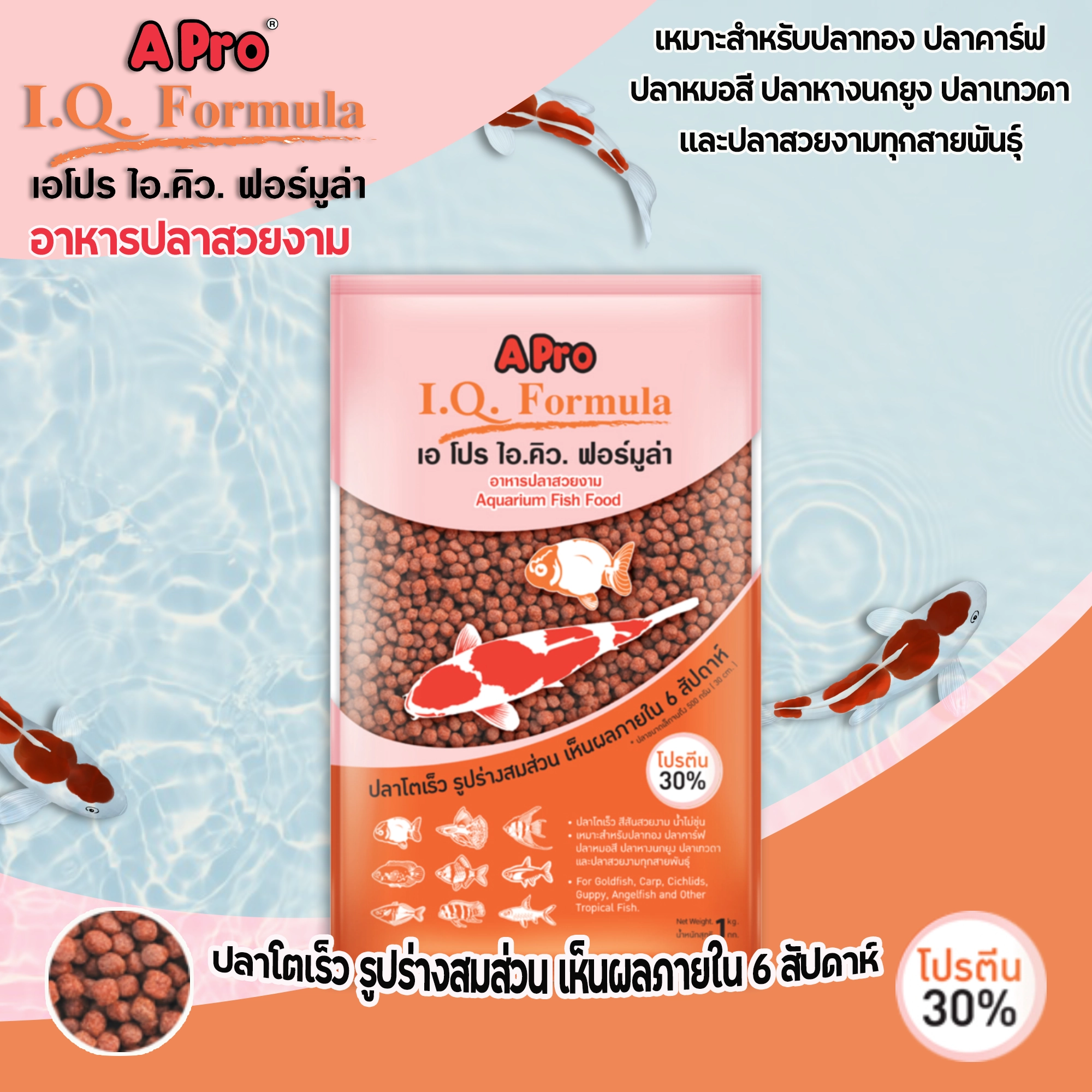 A Pro IQ สูตร อาหารปลา เม็ดแดง (สูตรเร่งสี)