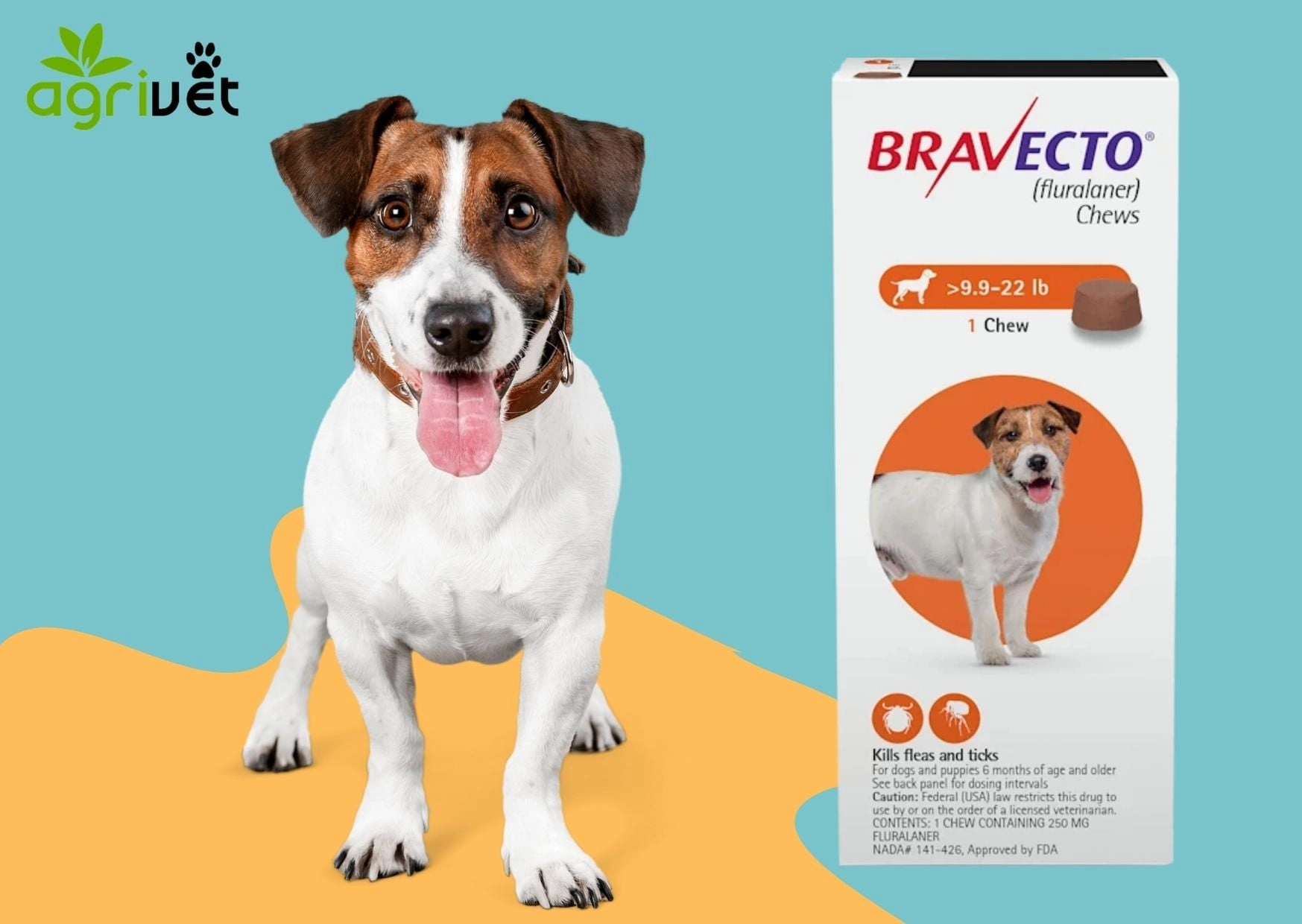 Bravecto ยากิน ป้องกันเห็บ หมัด สำหรับสุนัข (กล่องละ1เม็ด)