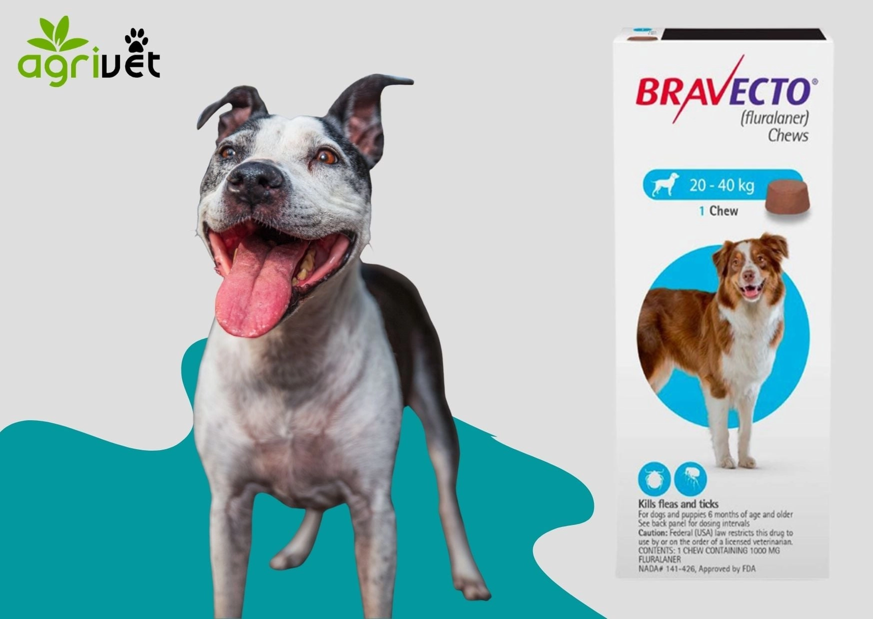 Bravecto ยากิน ป้องกันเห็บ หมัด สำหรับสุนัข (กล่องละ1เม็ด)