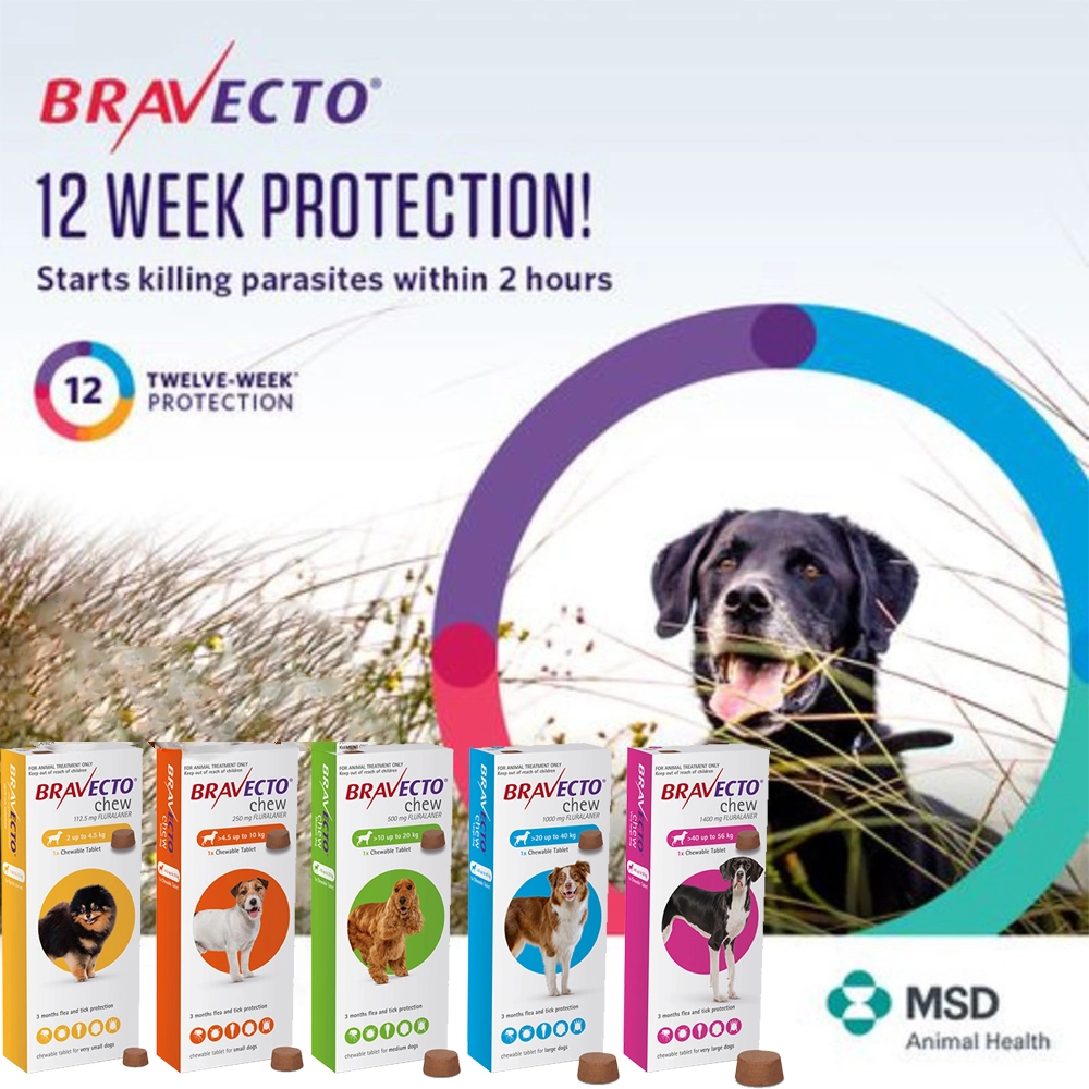 Bravecto Flea & Tick Treatment Chews for Dogs (1 tablet per box)