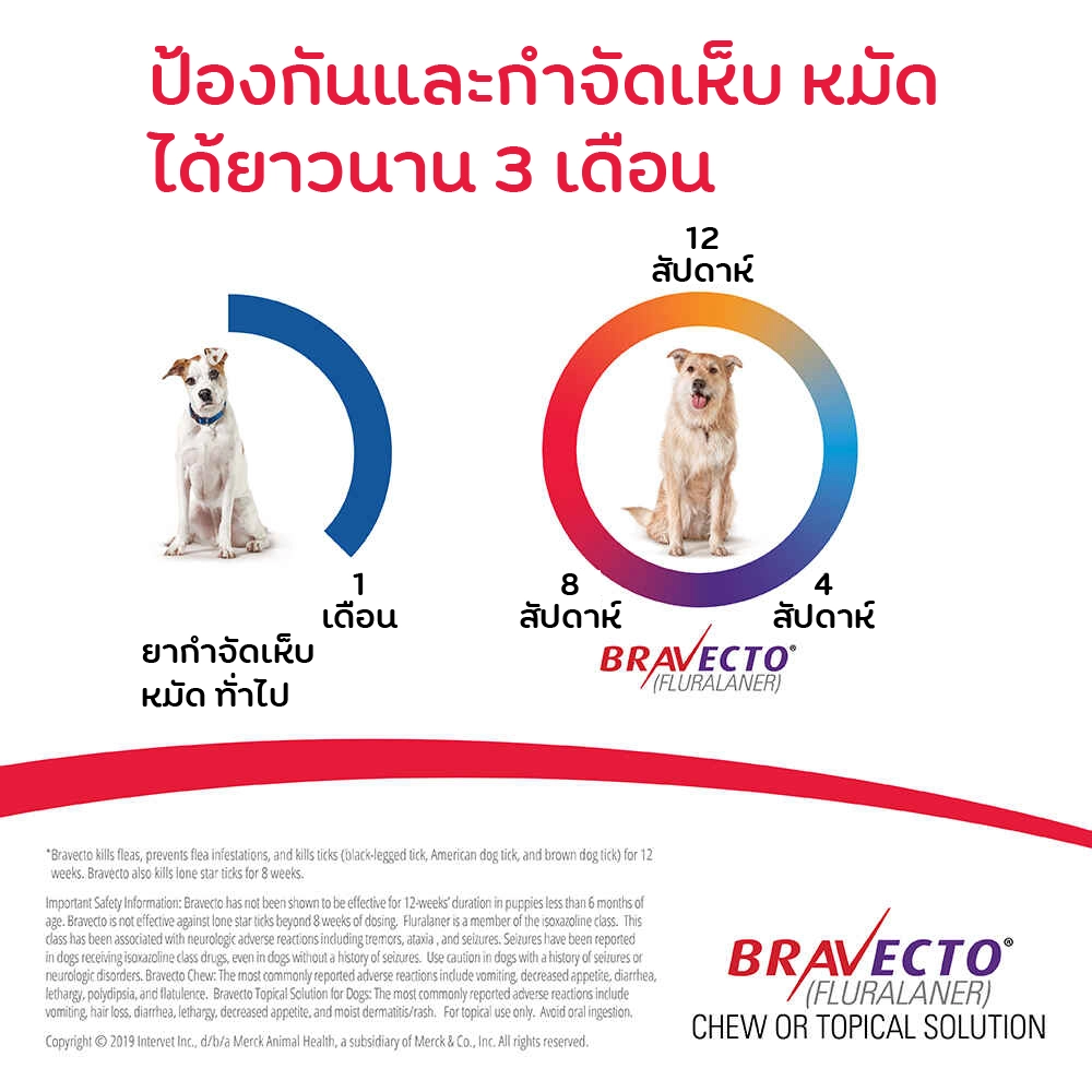 Bravecto ยากิน ป้องกันเห็บ หมัด สำหรับสุนัข (กล่องละ1เม็ด)