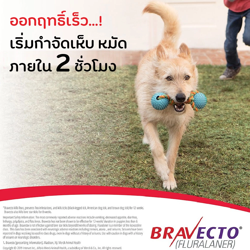Bravecto ยากิน ป้องกันเห็บ หมัด สำหรับสุนัข (กล่องละ1เม็ด)