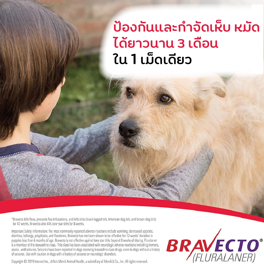 Bravecto ยากิน ป้องกันเห็บ หมัด สำหรับสุนัข (กล่องละ1เม็ด)