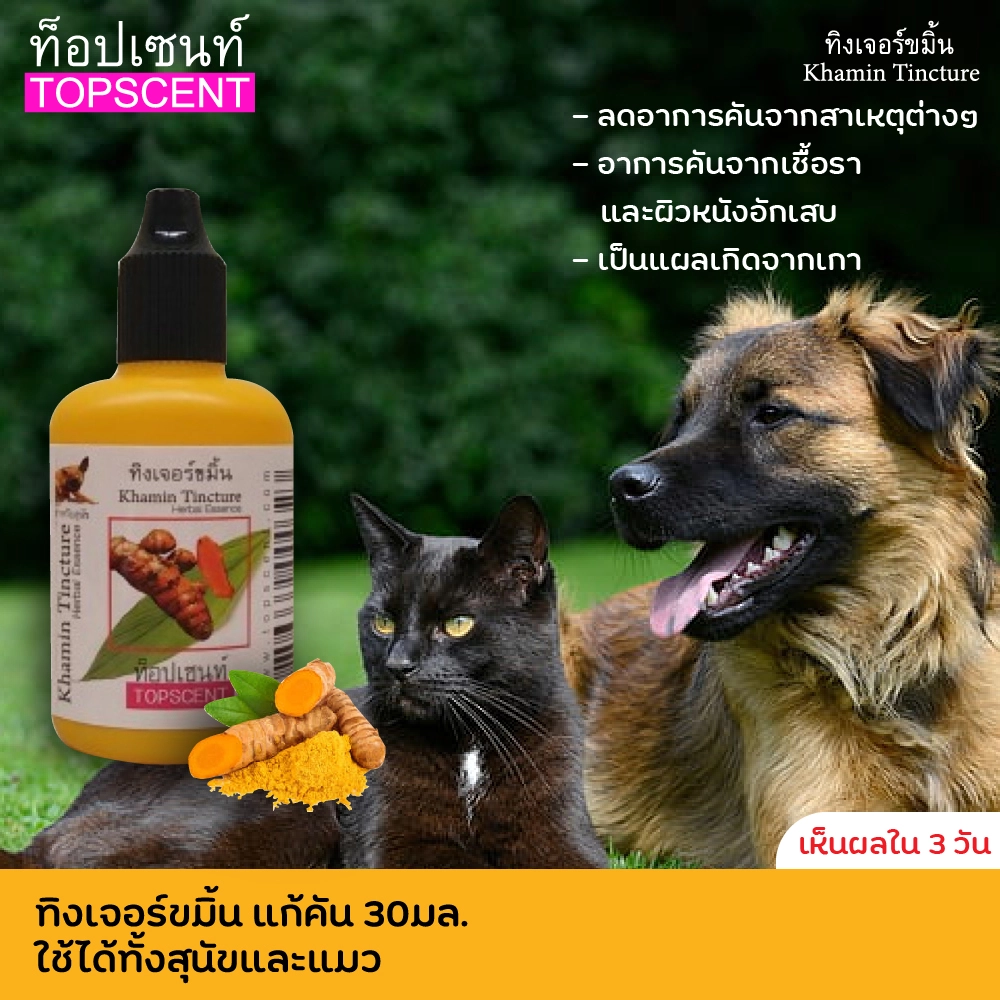 TopScent สำหรับสุนัข/แมว ทิงเจอร์ขมิ้น แก้คัน30มล.