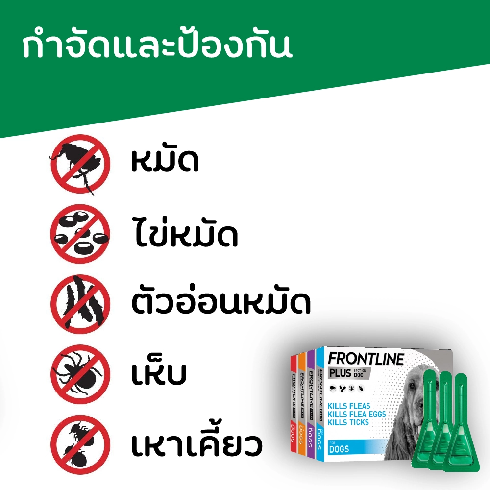 Frontline Plus ยาหยดป้องกัน เห็บ หมัด สำหรับสุนัข (ราคาต่อหลอด)