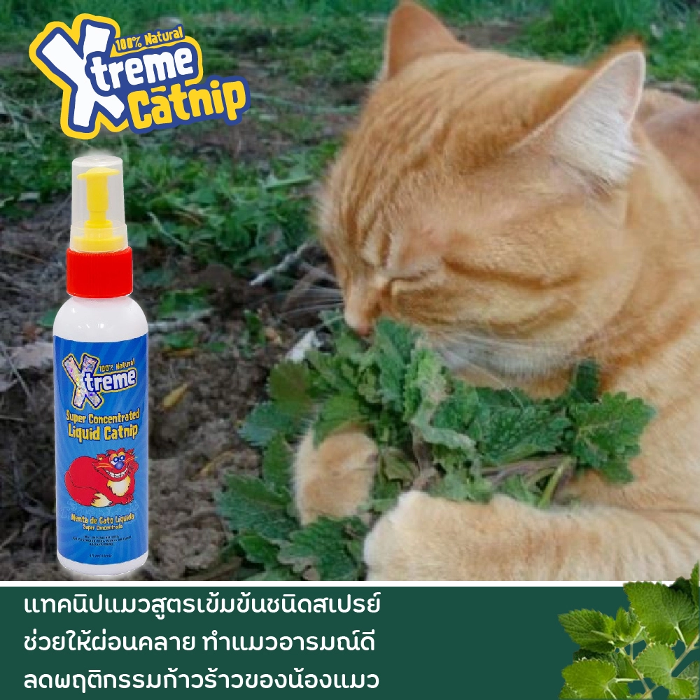 Xtreme Catnip แบบสเปรย์ 4 oz.