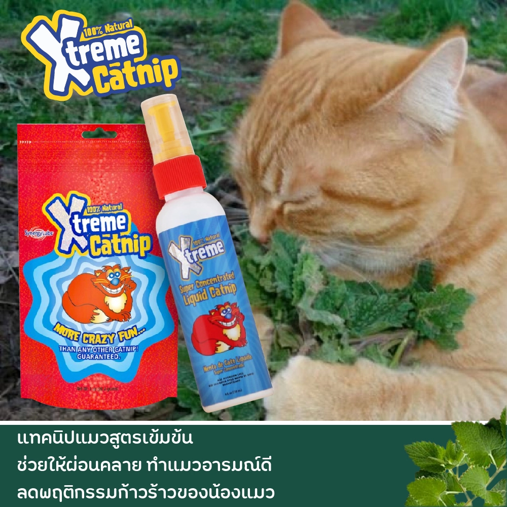 Xtreme Catnip แบบสเปรย์ 4 oz.