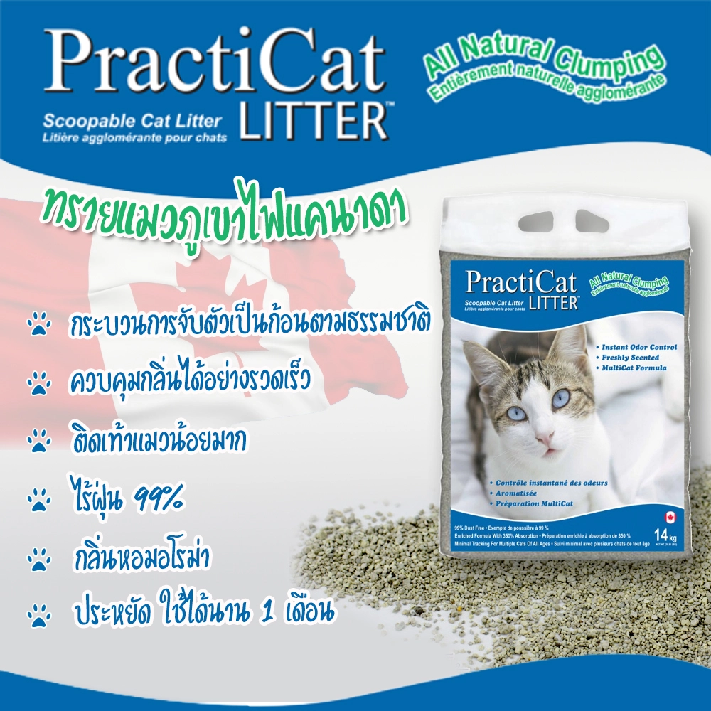Practi Cat Litter 27 lbs.