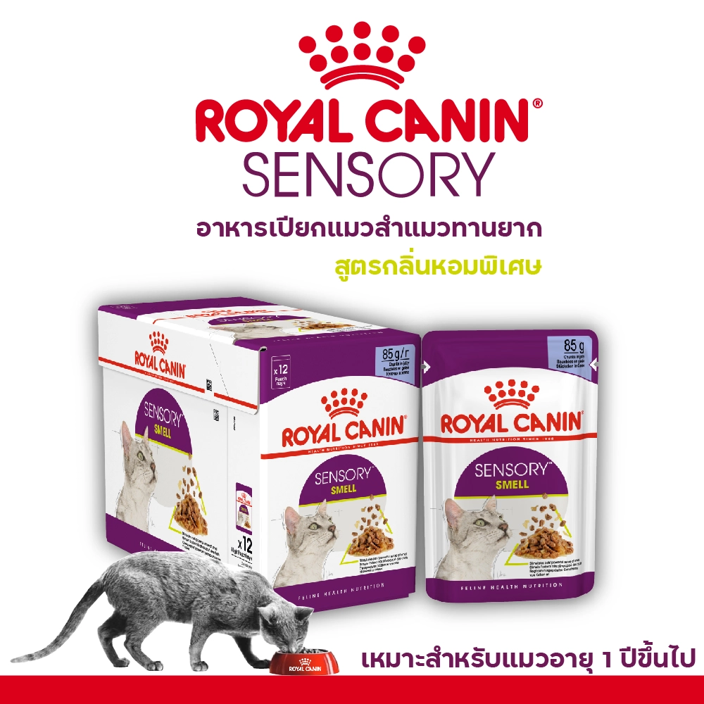Royal Canin อาหารเปียกแมว สูตร Sensory Smell (แมวโตช่างเลือก กระตุ้นการกินด้วยกลิ่นหอมเฉพาะ) ชนิดซอง 85 กรัม