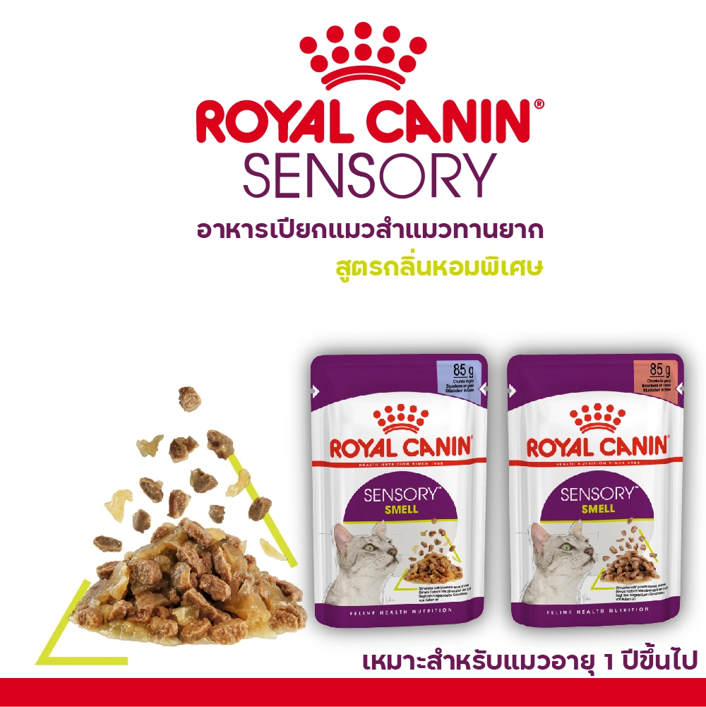 Royal Canin แมวซอง SENSORY SMELL 85G