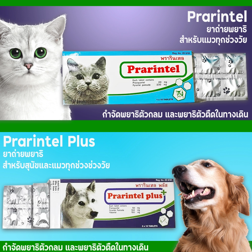 Prarintel Plus