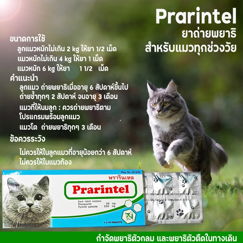 Prarintel Plus ยาถ่ายพยาธิ