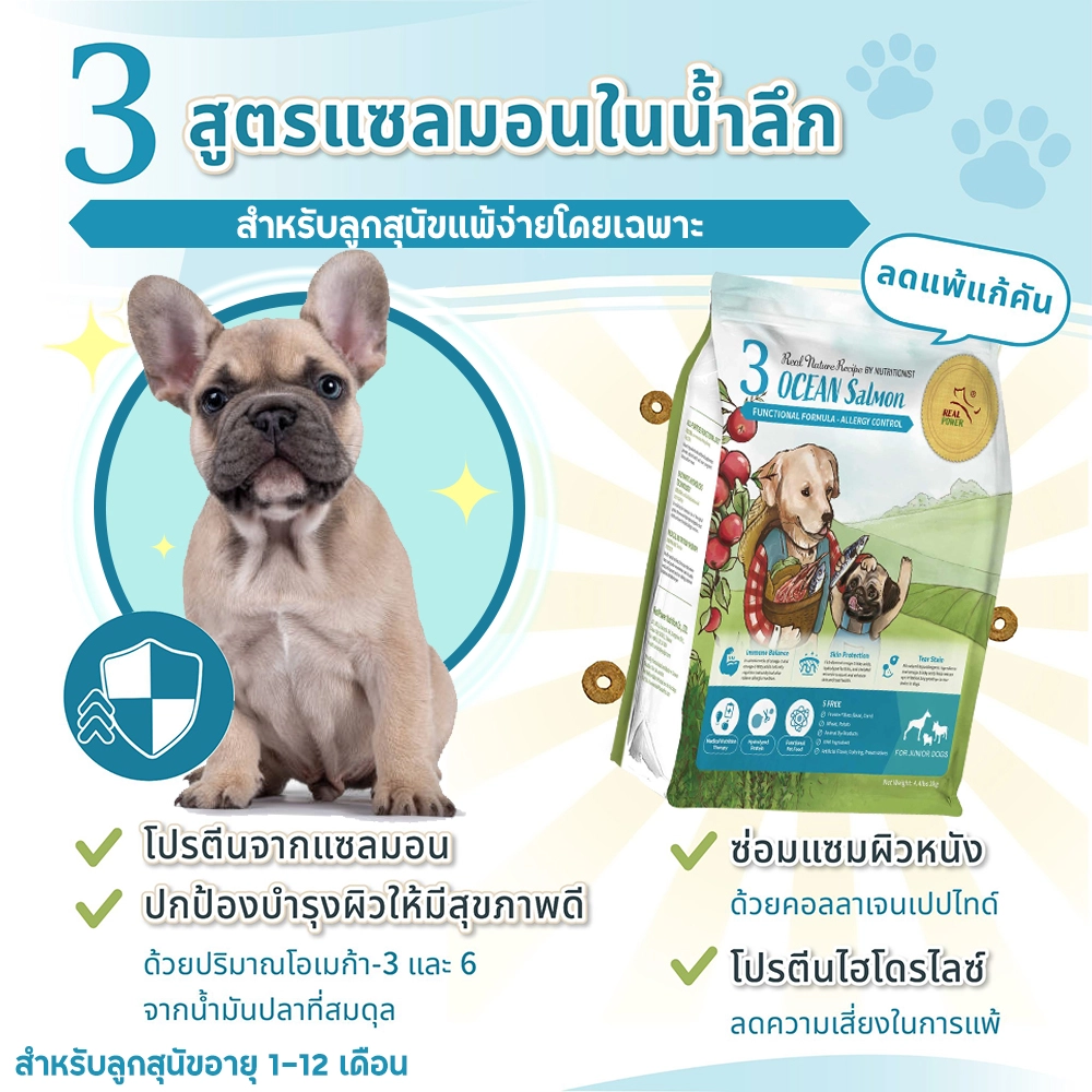 REAL POWER 3 OCEAN Salmon Puppy อาหารเม็ดสำหรับลูกสุนัขทุกสายพันธุ์ สูตรปลาแซลมอน ดูแลผิวหนัง