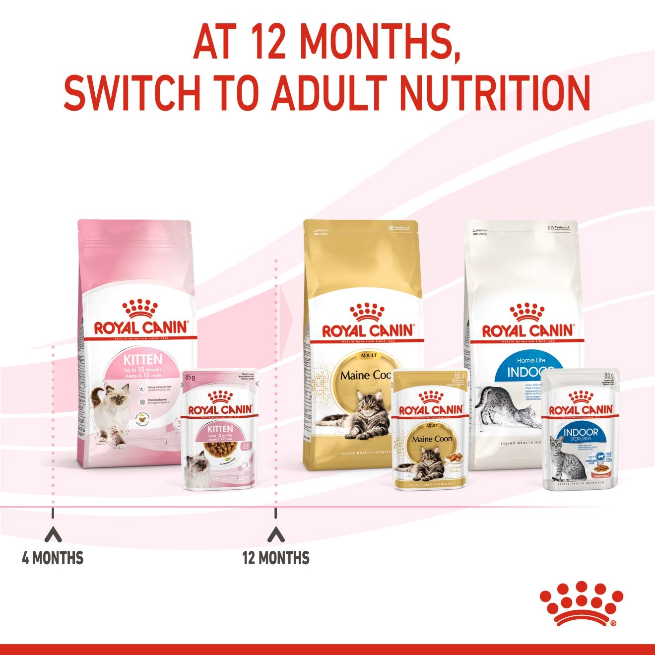 Royal Canin อาหารเปียกแมว สูตร Kitten สำหรับลูกแมว อายุ 4 - 12 เดือน ชนิดซอง 85 กรัม