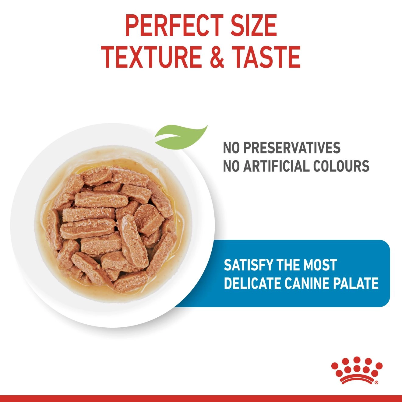 Royal Canin อาหารเปียกสุนัข สูตร Medium Puppy สำหรับลูกสุนัขพันธุ์กลาง ชนิดซอง 85 กรัม