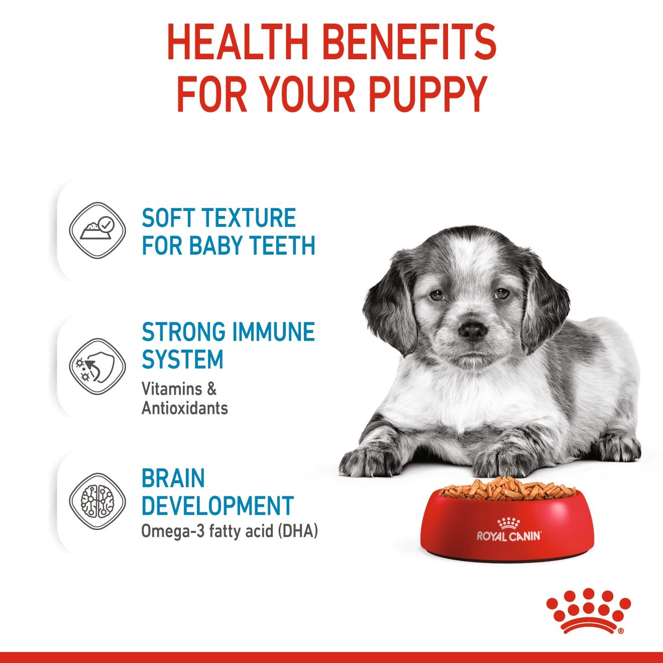 Royal Canin อาหารเปียกสุนัข สูตร Medium Puppy สำหรับลูกสุนัขพันธุ์กลาง ชนิดซอง 85 กรัม