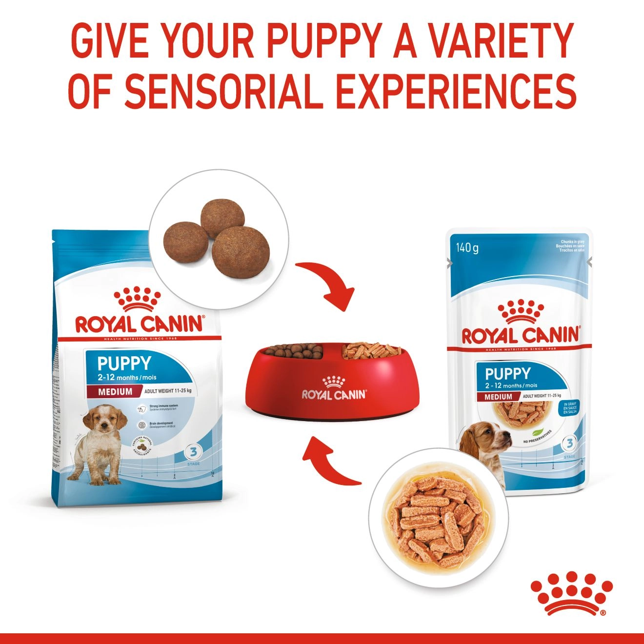 Royal Canin อาหารเปียกสุนัข สูตร Medium Puppy สำหรับลูกสุนัขพันธุ์กลาง ชนิดซอง 85 กรัม