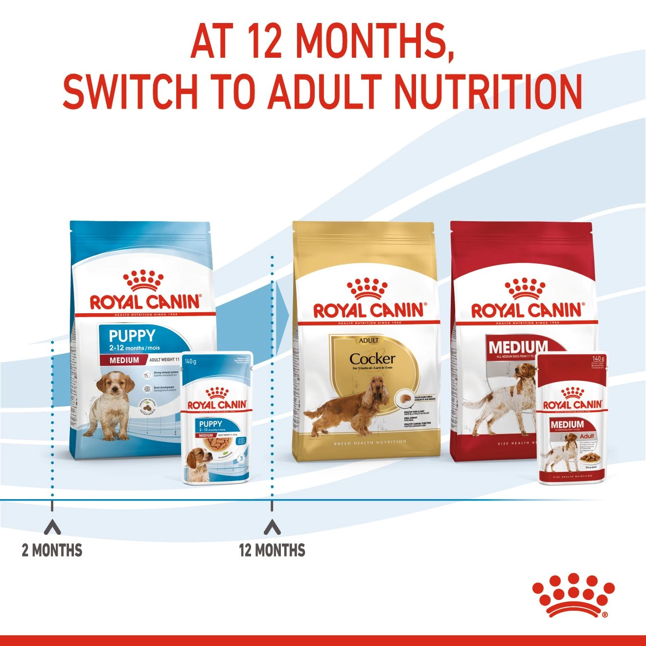 Royal Canin อาหารเปียกสุนัข สูตร Medium Puppy สำหรับลูกสุนัขพันธุ์กลาง ชนิดซอง 85 กรัม
