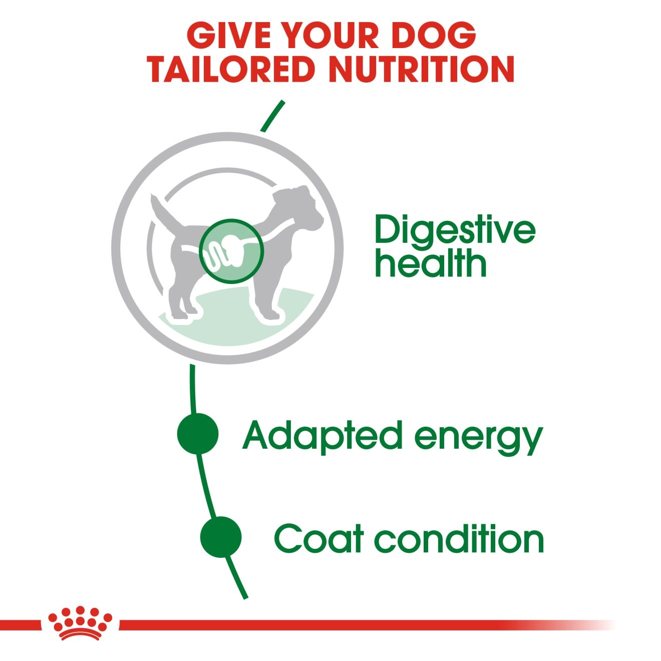 Royal Canin อาหารเปียกสุนัข สูตร Mini Adult สำหรับสุนัขโต พันธุ์เล็ก อายุ 1 ปีขึ้นไป 85 กรัม