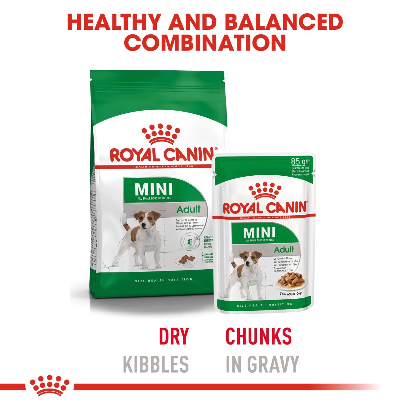Royal Canin อาหารเปียกสุนัข สูตร Mini Adult สำหรับสุนัขโต พันธุ์เล็ก อายุ 1 ปีขึ้นไป 85 กรัม