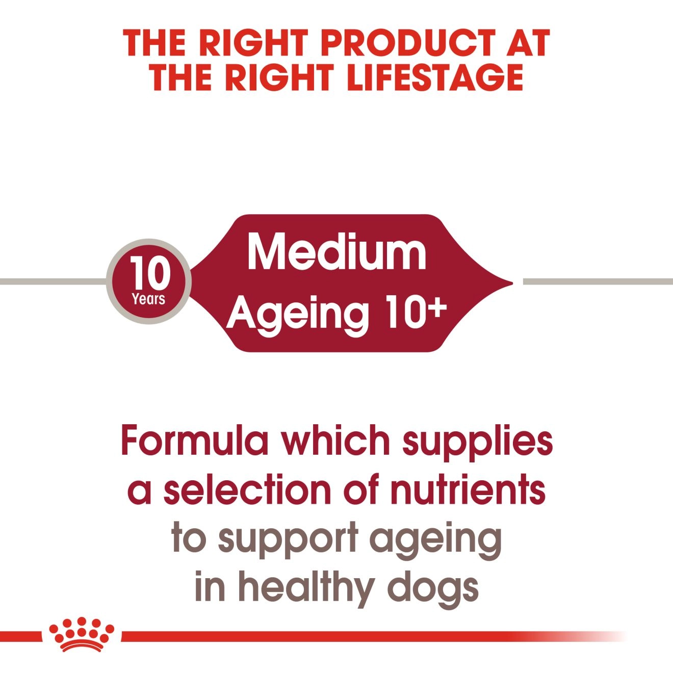 Royal Canin อาหารเปียกสุนัข สูตร Medium Ageing สำหรับสุนัขสูงวัยพันธุ์กลาง ชนิดซอง 140 กรัม