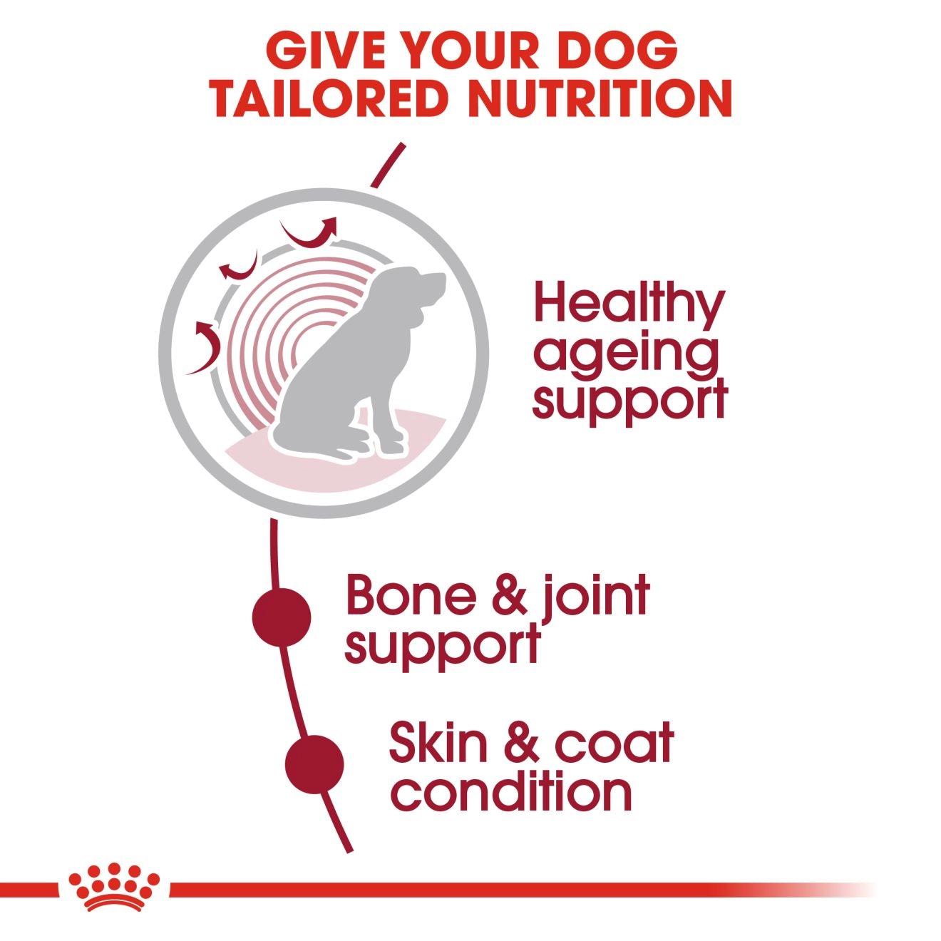 Royal Canin อาหารเปียกสุนัข สูตร Medium Ageing สำหรับสุนัขสูงวัยพันธุ์กลาง ชนิดซอง 140 กรัม