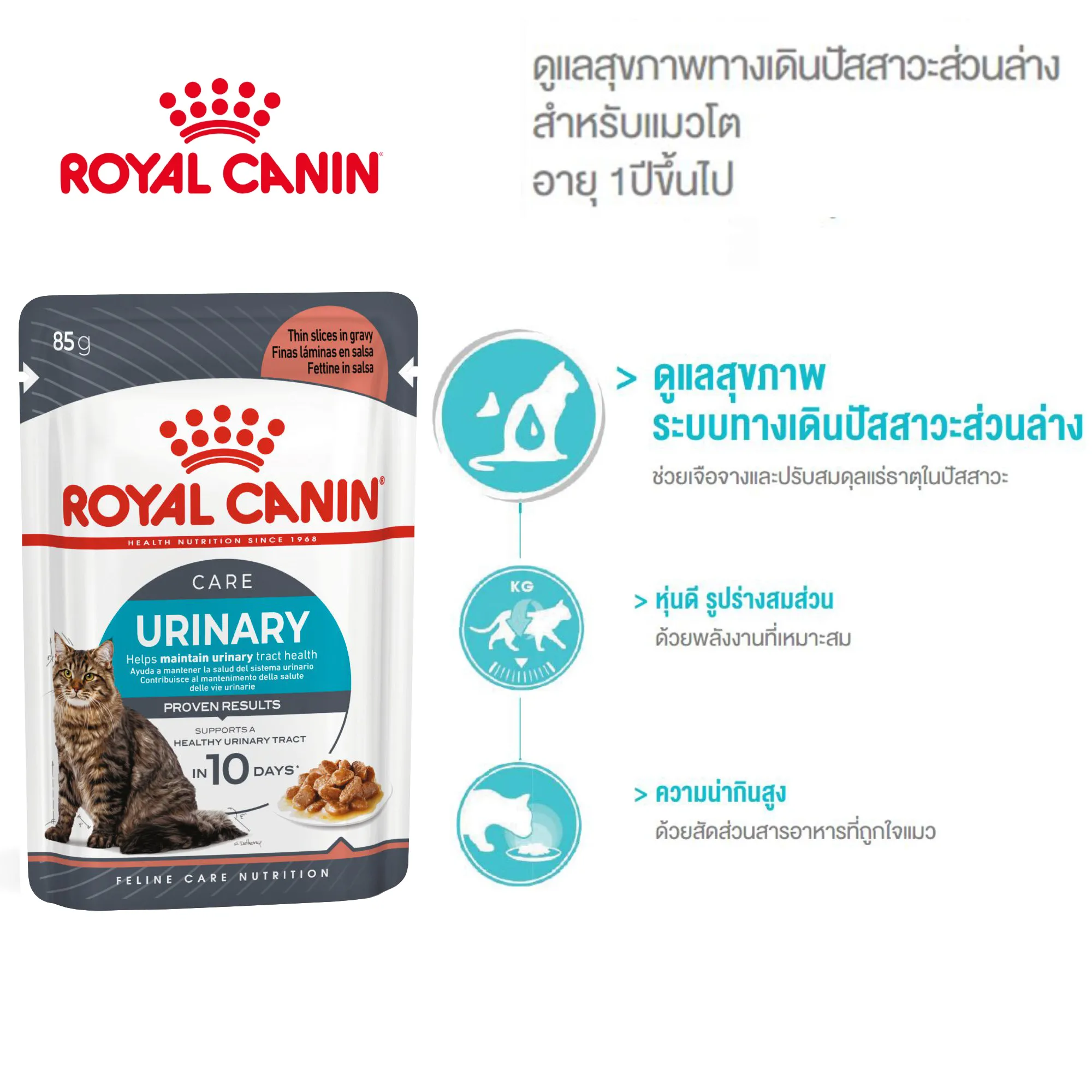 Royal Canin แมวซอง URINARY CARE 85G