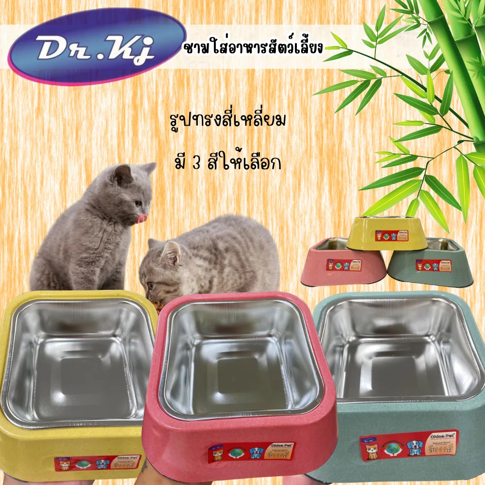 Dr.kj square bamboo pulp bowl with stainless steel 2 in 1