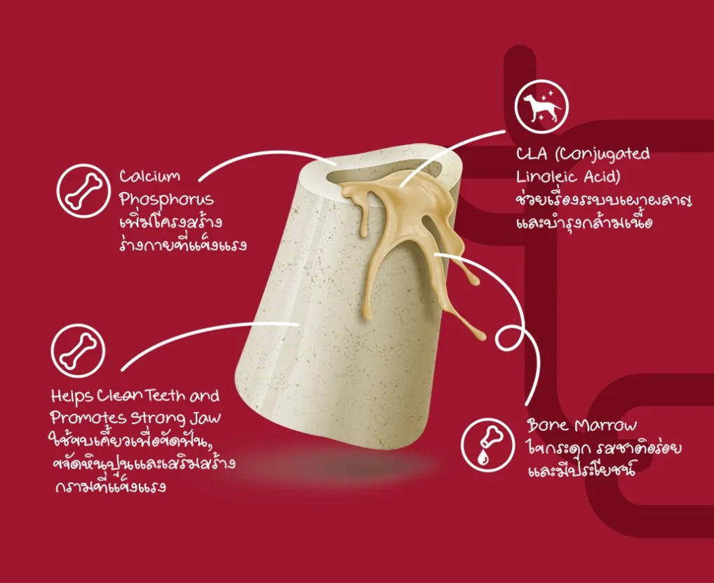 DOGSTER BITE Freeze Dried Beef Shank Bone กระดูกขาวัวฟรีซดราย สอดไส้ไขกระดูก