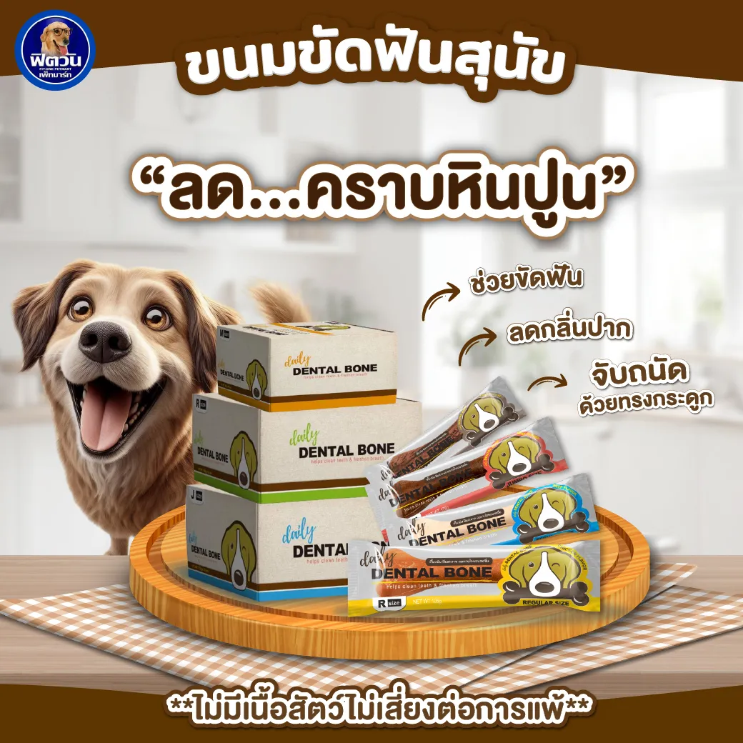 Pet2Go Dental Bone