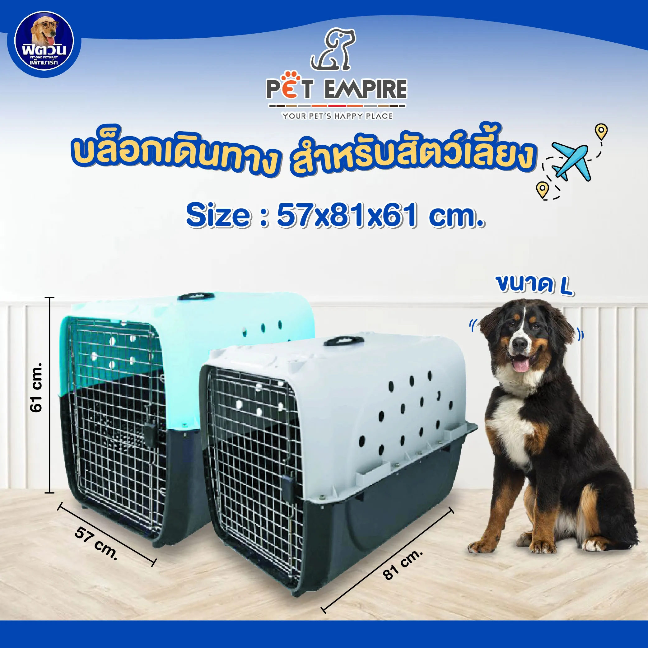 Pet Empire portable pet box SIZE : L