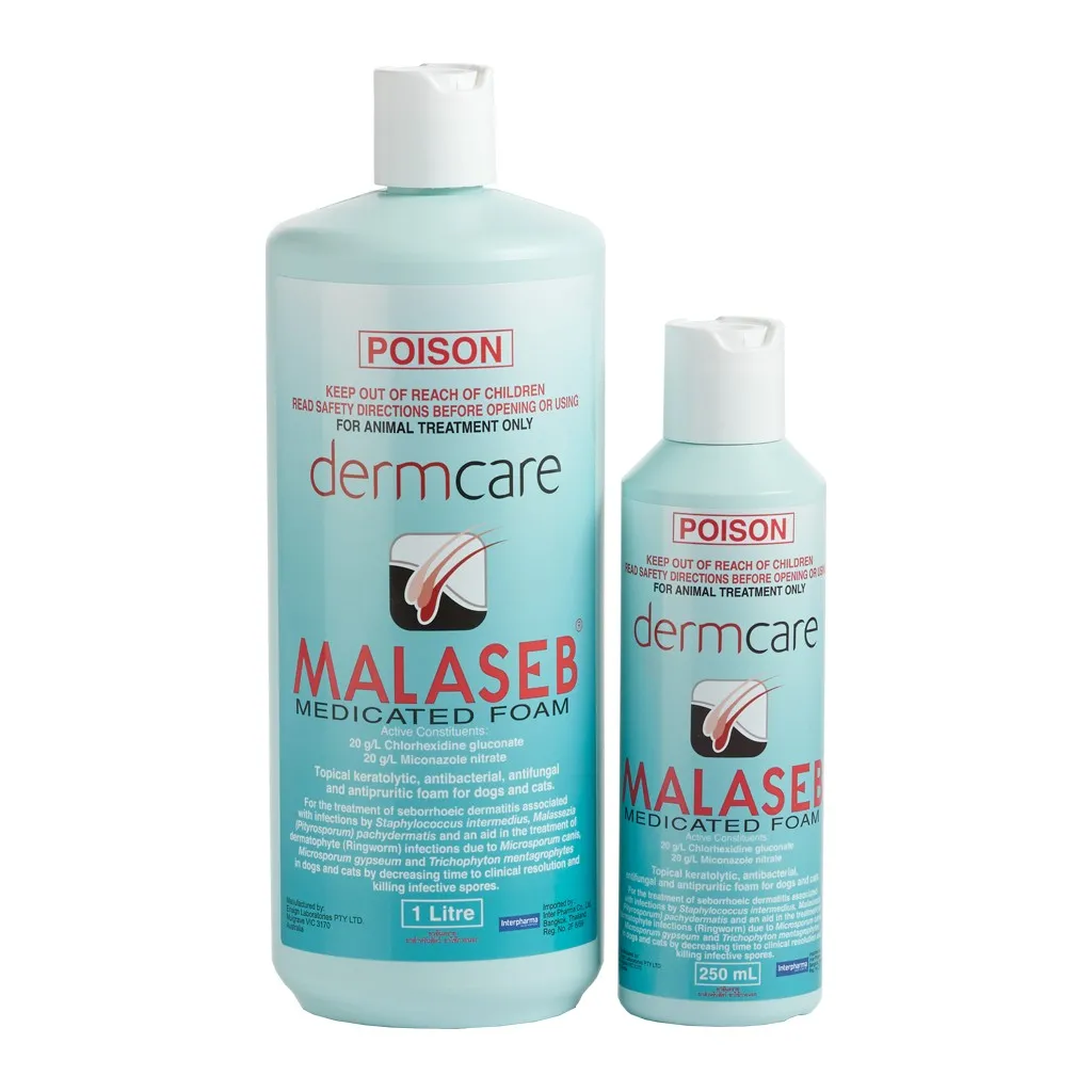 MALASEB แชมพูขจัดเชื้อแบคทีเรีย เชื้อรา และยีสต์