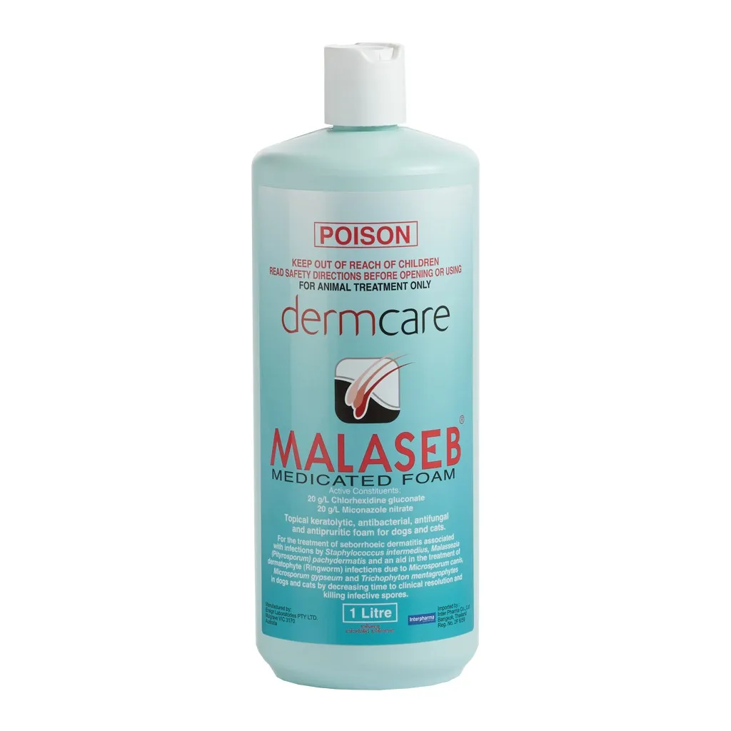 MALASEB แชมพูขจัดเชื้อแบคทีเรีย เชื้อรา และยีสต์
