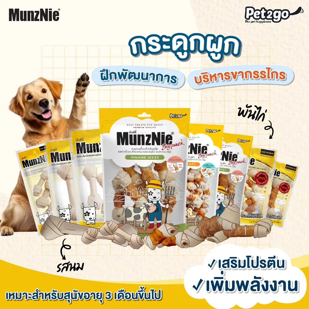 MunzNie Assorted bone-shaped dog snacks.